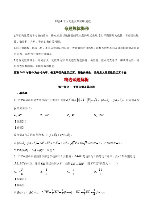 专题6 平面向量及其应用,复数(解析版)