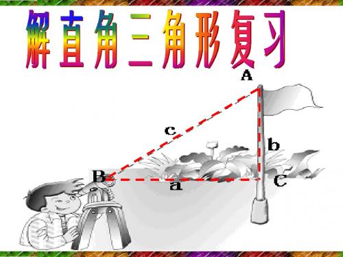 解直角三角形复习1