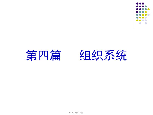 组织系统概述