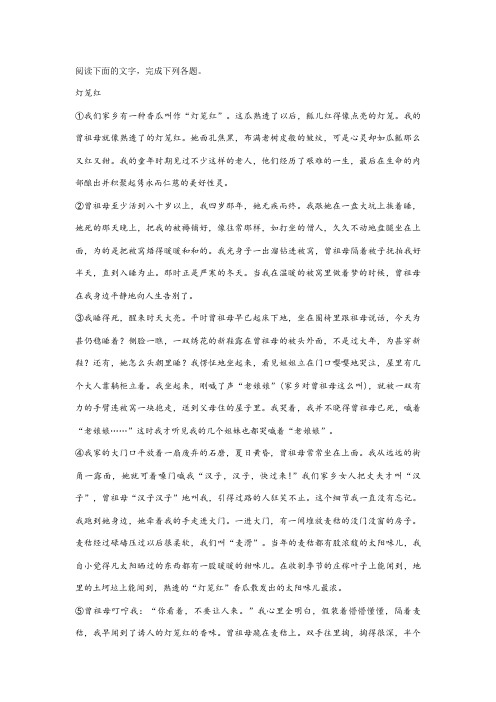 《灯笼红》阅读练习及答案解析