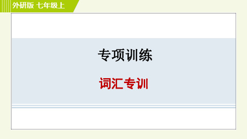 最新外研版英语七年级上册期末专题复习——词汇专训