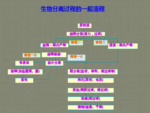 生物分离工程之膜分离