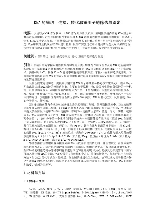 DNA的酶切、连接、转化和重组子的筛选与鉴定