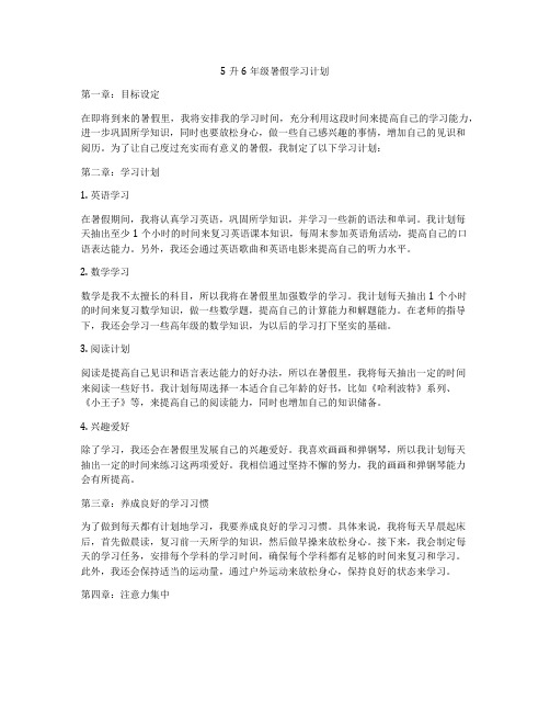 5升6年级暑假学习计划