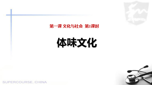 高中政治 人教版必修三   1.1 体味文化 课件