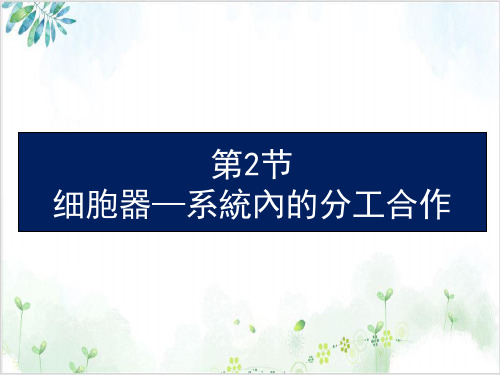 [人教版]《细胞器──系统内的分工合作》优秀课件1