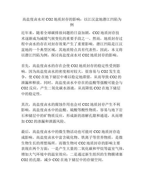 高盐度卤水对CO2地质封存的影响：以江汉盆地潜江凹陷为例