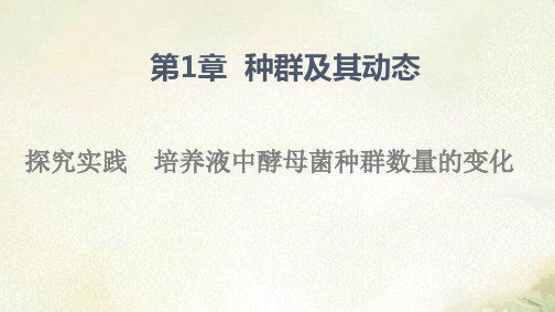 新教材人教版高中生物选择性必修2第1章探究实践 培养液中酵母菌种群数量的变化 教学课件