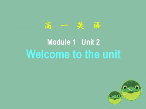 Unit 3 welcome 课件-高中译林版必修1精品