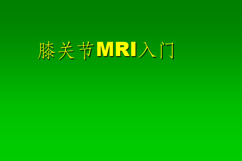 《膝关节MRI入门》