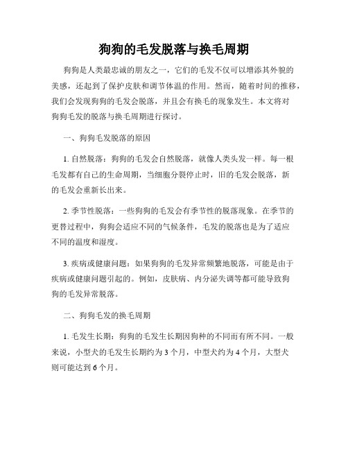 狗狗的毛发脱落与换毛周期