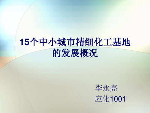 全国15个中小城市精细化工发展基地的概况