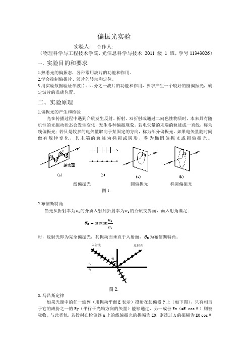 偏振光实验