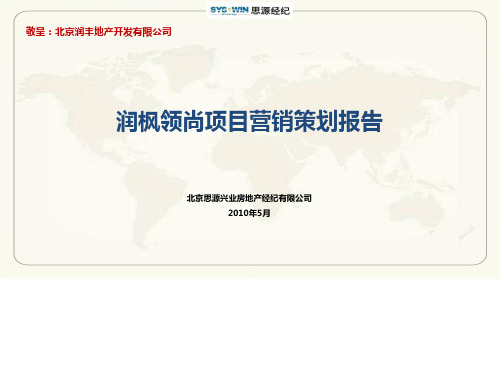某地区项目管理及营销策划管理知识分析报告(PPT 94页)