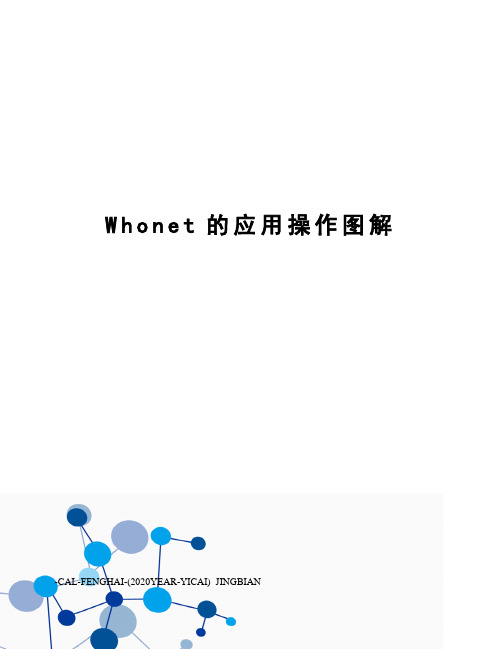 Whonet的应用操作图解