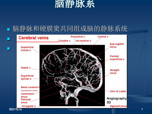 脑血管解剖(脑静脉系)【优质PPT】