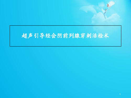 超声引导经会阴前列腺穿刺活检术  ppt课件