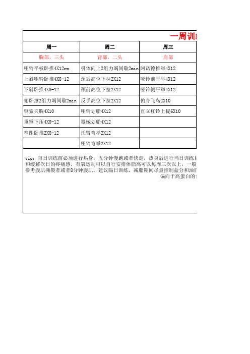 健身计划,专业健身教练制定,一周五练