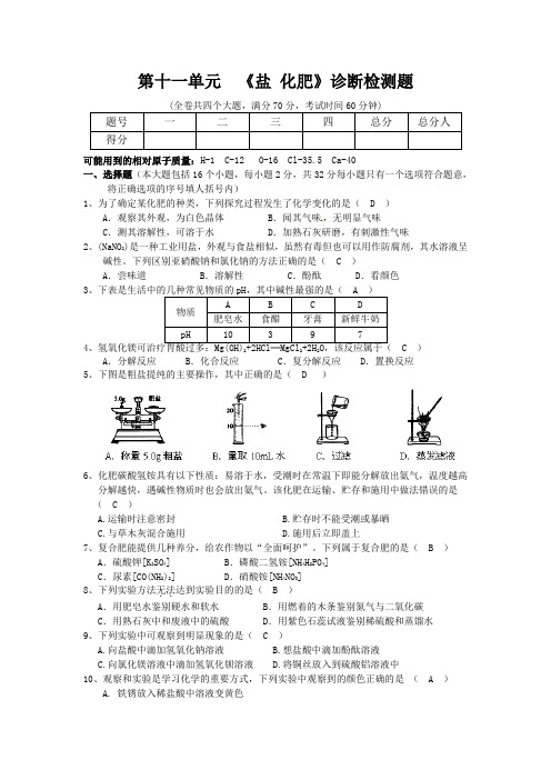 人教九年级化学下册第十一单元检测题