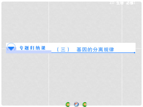 高中生物 第2单元 第1章 基因的分离规律专题归纳课件 