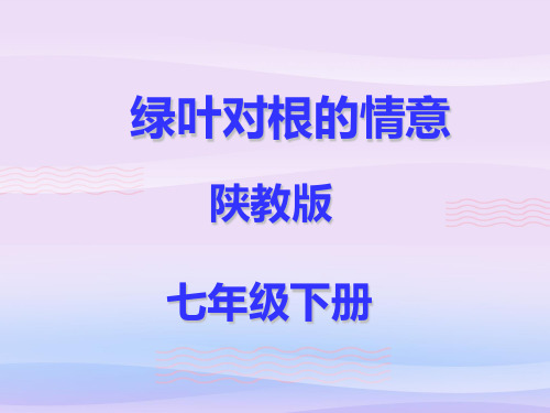 绿叶对根的情意ppt优秀课件说课 陕教版PPT课件