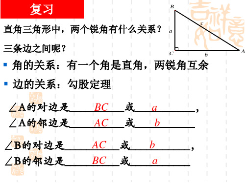 沪教版(上海)九年级上册数学 25.1 锐角三角比的意义 课件