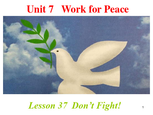 冀教版九年级英语Unit7Lesson37《Don’tFight》课件