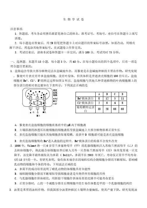 重庆市第八中学校2024-2025学年高三上学期期中考试生物试题(无答案)