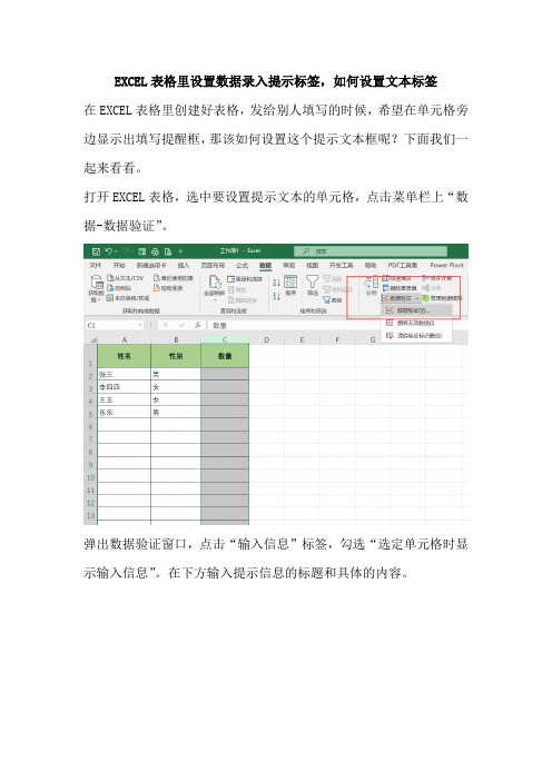 EXCEL表格里设置数据录入提示标签,如何设置文本标签