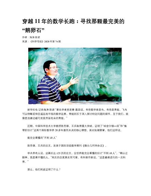 穿越11年的数学长跑:寻找那颗最完美的“鹅卵石”