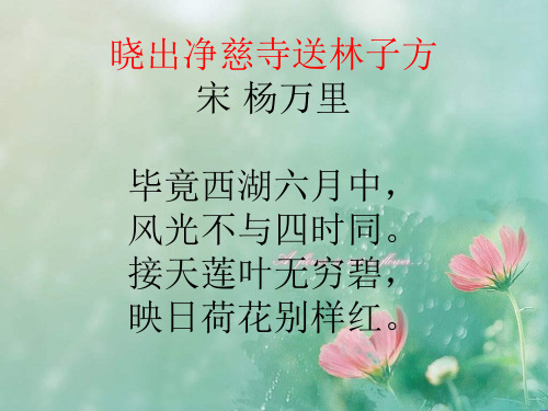 晓出净慈寺送林子方_诗词赏析_.宋_杨万里