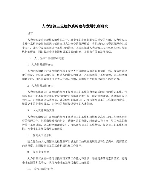 人力资源三支柱体系构建与发展机制研究