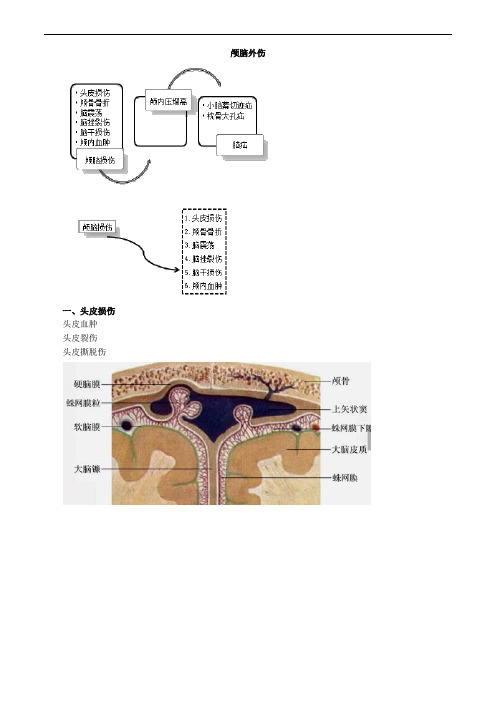 颅脑外伤考点总结