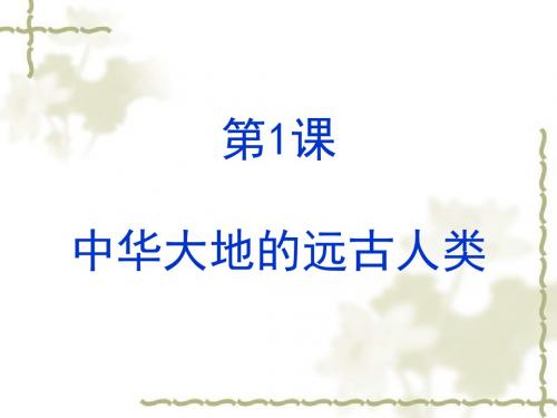 中华大地的远古人类 PPT课件5 北师大版