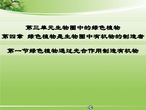 【人教版】初中生物七年级上册3-4-1绿色植物通过光合作用制造有机物课件