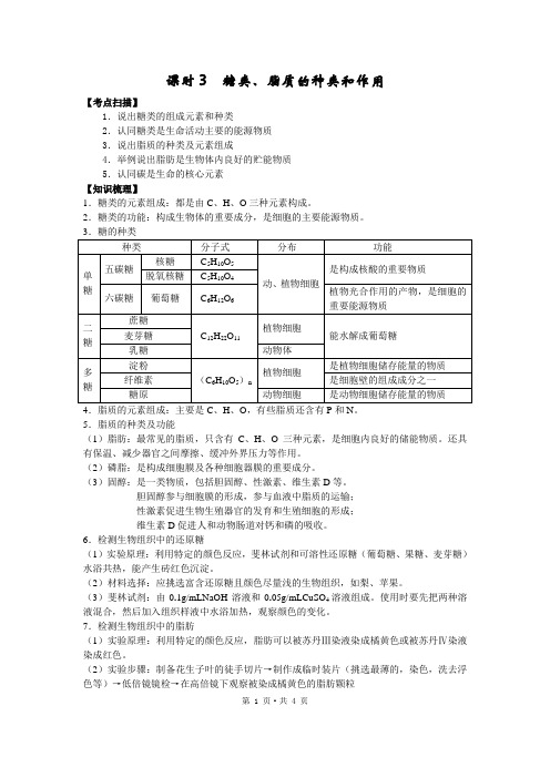 糖类、脂质的种类和作用