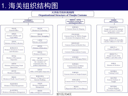 海关组织结构及隶属关系PPT课件