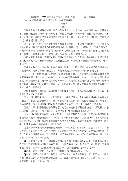 拓展训练  2020年中考语文专题分类卷 专题十七  小说(模拟篇)附答案