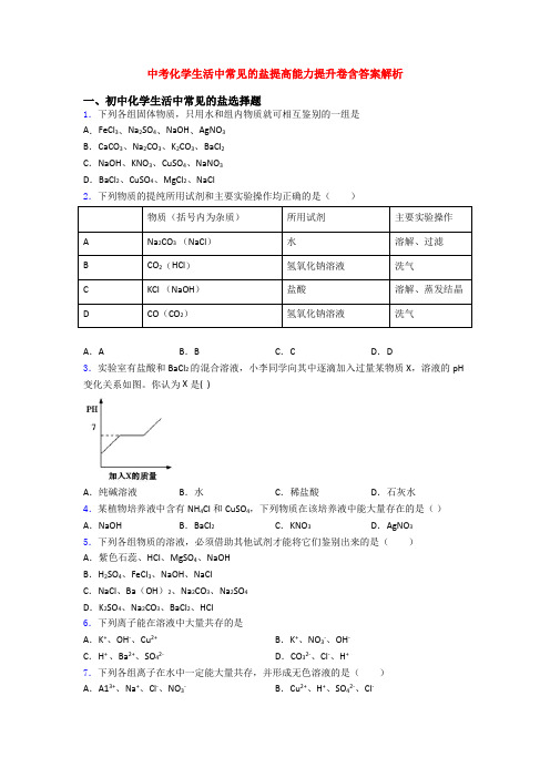 中考化学生活中常见的盐提高能力提升卷含答案解析