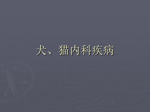 最新犬、猫内科疾病-药学医学精品资料