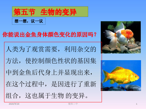 第五节  生物的变异