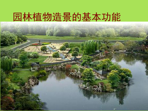 园林植物造景的基本功能--建造功能--构成空间