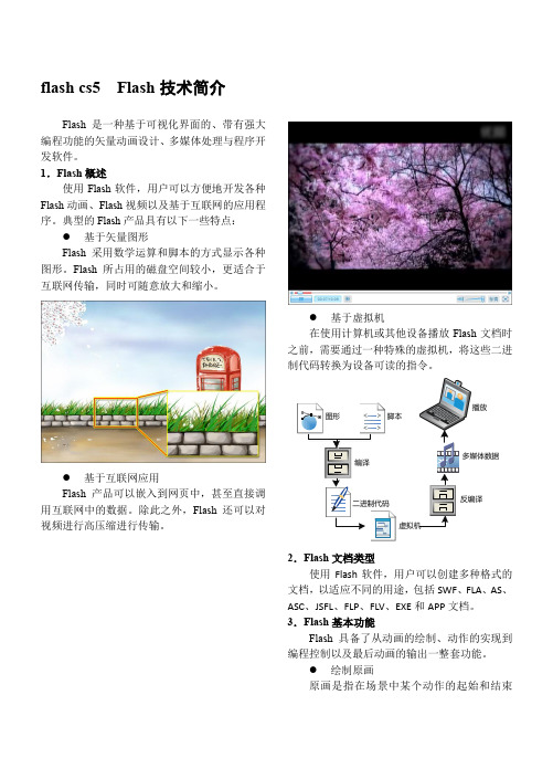 flash cs5  Flash技术简介