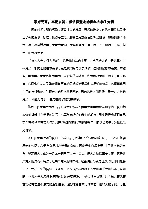 学好党章,牢记宗旨,做信仰坚定的青年大学生党员