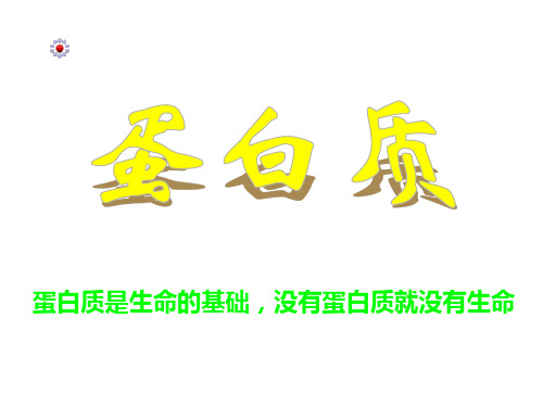 选修五有机化学 蛋白质与核酸