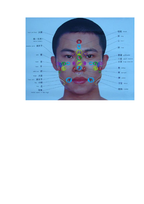 身体器官工作表一览