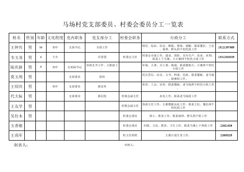 村支部、村委会分工一表