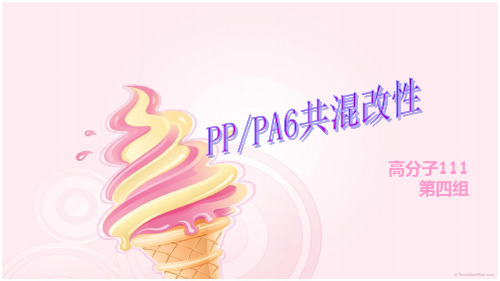 PP、PA6共混