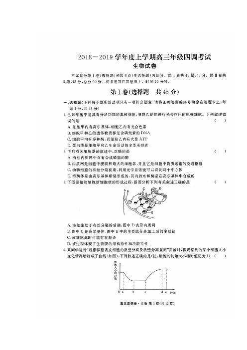 河北省衡水中学2019届高三上学期四调考试生物试题+扫描版含答案