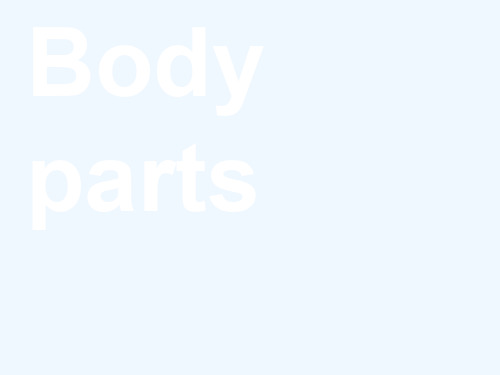 My-body-parts身体部位英语课件